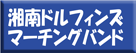 湘南ドルフィンズ
